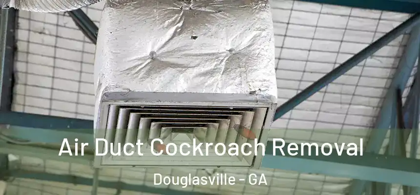  Air Duct Cockroach Removal Douglasville - GA