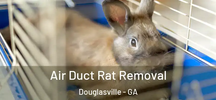  Air Duct Rat Removal Douglasville - GA