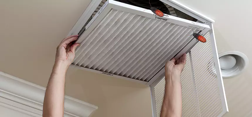 Preventive Cockroach-Proofing for Ducts in Douglasville