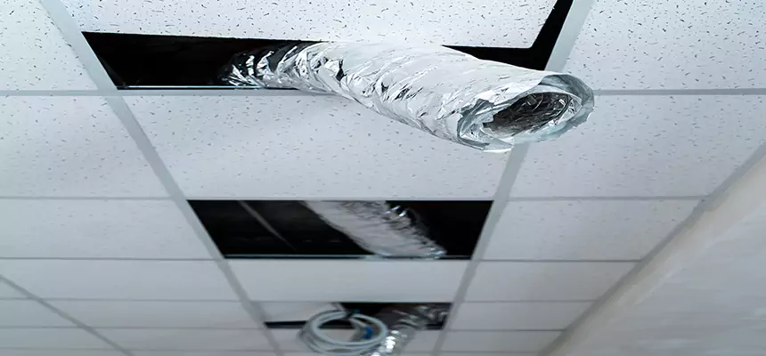 Affordable HVAC Sanitizing After Pest Removal in Douglasville