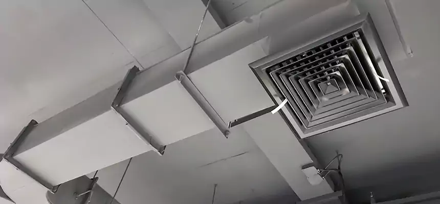 Restorative Allergy Relief Vent Cleaning – Coil, Blower & Housing Detail in Douglasville