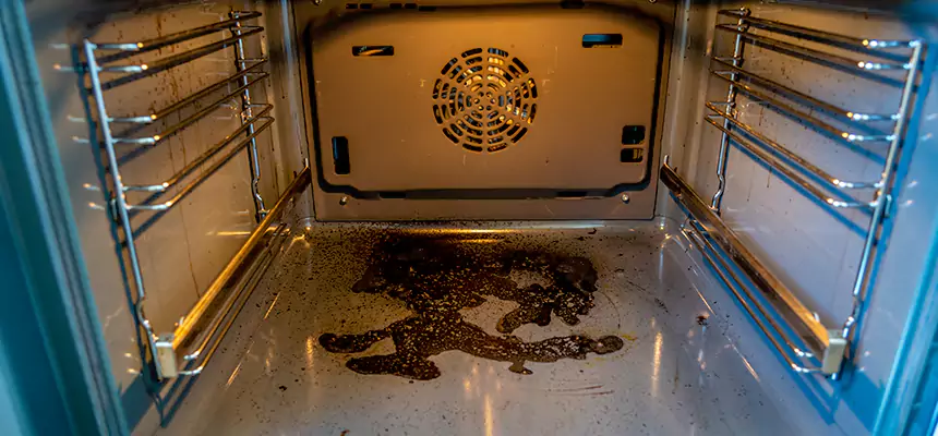 Our Dryer Vent Mold Cleaning Services in Douglasville, GA