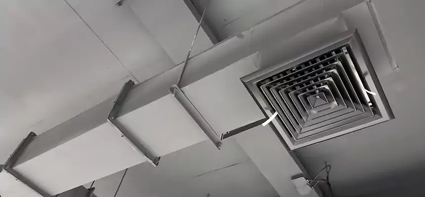 Our Rodent Droppings In Vents Services in Douglasville, GA