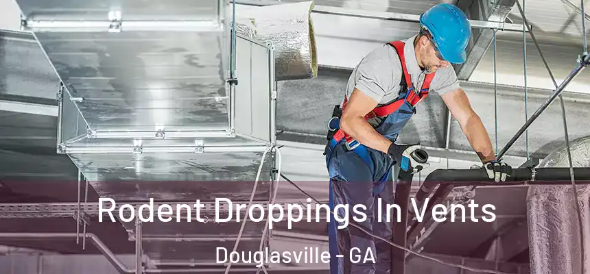 Rodent Droppings In Vents Douglasville - GA