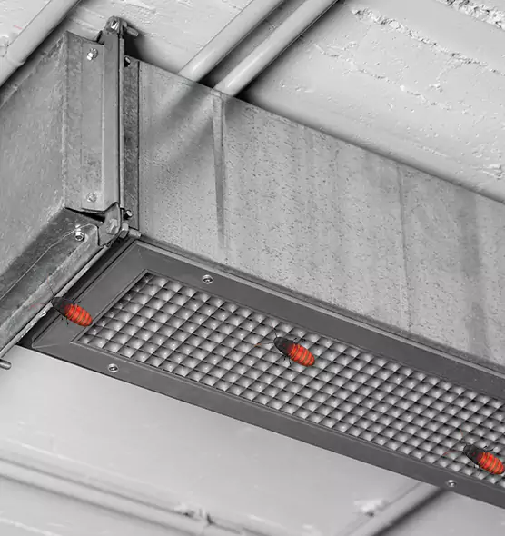 About Air Duct Cockroach Removal in Douglasville, GA
