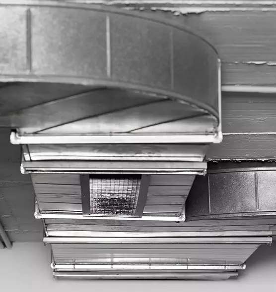 Professional Air Duct Pet Hair Removal in Douglasville, GA