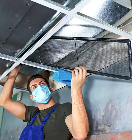 Professional Air Duct Pollen Cleaning in Douglasville, GA