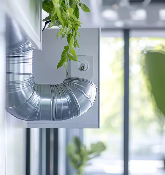 Professional Eco-Safe Dryer Vent Cleaning in Douglasville, GA