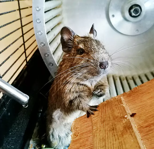 Why Homeowners & Businesses Trust Us Douglasville, GA?