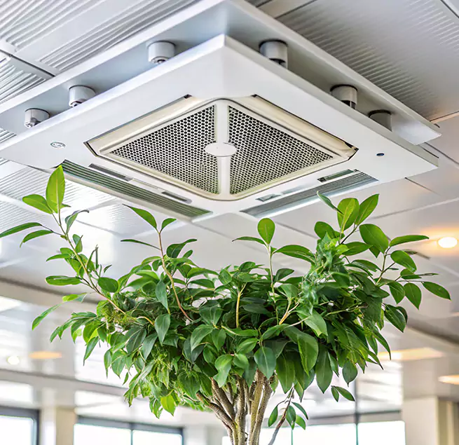 Why Homeowners & Businesses Trust Us in Douglasville, GA?