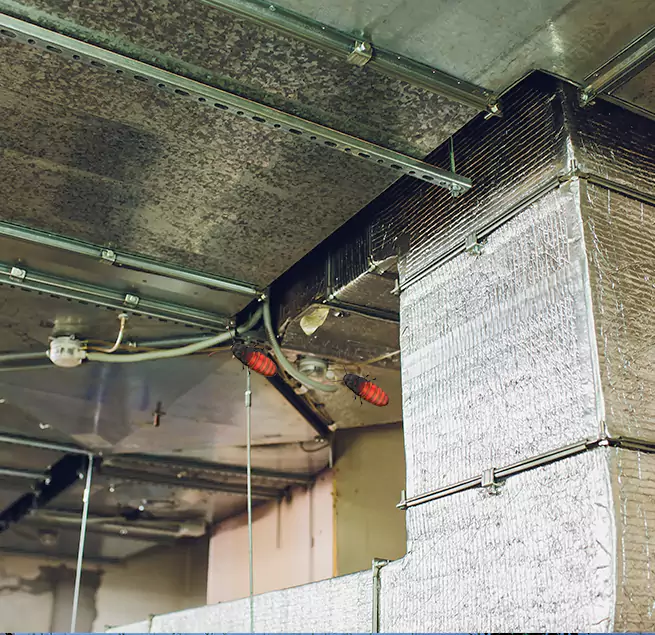 Why Homeowners & Businesses Trust Us Douglasville, GA?